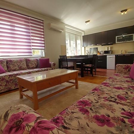 בלגרד Apartment Harmonija מראה חיצוני תמונה